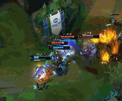 的答案也将 的答案也将